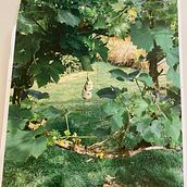 Learning to paint the 'Soul Window' I grew. Painting project by Annie Metcalfe - 10.18.2022