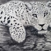 The cat. Drawing project by Edit Mason - 10.18.2022