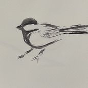 My project for course: Illustrating Nature: A Creative Exploration. Un proyecto de Ilustración tradicional, Pintura, Dibujo, Pintura a la acuarela, Ilustración con tinta e Ilustración naturalista				 de Zsuzsanna Récsán - 19.10.2022
