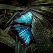 Mi proyecto del curso: Fotografía de paisaje y naturaleza. Un progetto di Fotografia, Fotografia all'aperto, Fotografia per Instagram, Fotografia documentaria e Composizione fotografica di Virginia Montero Aragón - 19.10.2022