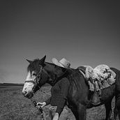 country me . Photograph project by Maria Eduarda Alves Vieira - 10.15.2022