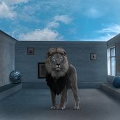 My project for course: Secrets of Photomontage and Creative Retouching. Un progetto di Fotografia, Postproduzione fotografica, VFX, Ritocco fotografico, Fotografia artistica, Composizione fotografica e Fotomontaggio di Anas Methaq - 11.10.2022