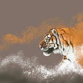 My work with procreate. Traditional illustration project by Catherine Philipp - 10.20.2022