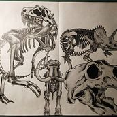 Dinosaurs Skeletons Graphite Anatomy Exercise. Traditional illustration, Fine Arts, Sketching, Pencil Drawing, Drawing, Realistic Drawing, and Figure Drawing project by Alicia Manzanos Ferrer - 05.23.2020