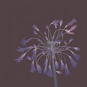 Botanical illustration . Un proyecto de Ilustración tradicional de Hyea - 21.10.2022