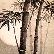 My project for course: Introduction to Sumi-e Painting. Traditional illustration, Drawing & Ink Illustration project by Anastasia - 10.19.2022