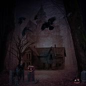 Mijn project van de cursus: Magische fotomontage in Photoshop: maak visuele metaforen. Photograph, Post-production, Photo Retouching, Digital Photograph, Photographic Composition, and Photomontage project by janine_jansen - 10.22.2022