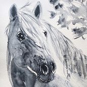 My project for course: Expressive Animal Portraits in Watercolor. Un progetto di Illustrazione tradizionale, Pittura ad acquerello, Disegno realistico e Illustrazione naturalistica di whereisyvonne - 18.10.2022