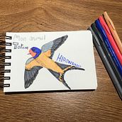 Mon projet du cours : Journal intime illustré - pratiquez au quotidien la pleine conscience. Un progetto di Belle arti, Bozzetti, Creatività, Disegno e Sketchbook di laurence_yerna - 23.10.2022