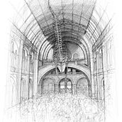 The Natural History Museum, London. Architecture, Artistic Drawing, Fine Arts & Ink Illustration project by Luke Adam Hawker - 10.23.2022