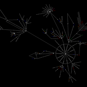 Visualizing the links on the Privacy Policy of pinterest.com. Design, Graphic Design, Information Design & Infographics project by Aman Singh - 10.24.2022