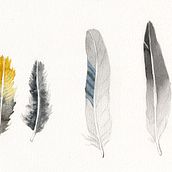 Il mio progetto del corso: Illustrazione naturalistica: acquerello in positivo e negativo. Traditional illustration, Fine Arts, Painting, Drawing, Watercolor Painting, Botanical Illustration, and Naturalistic Illustration project by Michela Pesci - 10.24.2022