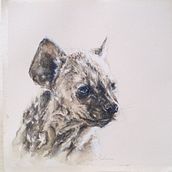 My project for course: Experimental Portraiture with Ink, Tea and Alcohol . % Carina Kramer tarafından hazırlanan Güzel sanatlar, Tablo, Çizim, Mürekkep İllüstras, Ve onu projesi - 10.23.2022
