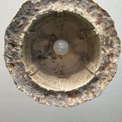 Fungal lights. Design & Interior Design project by Nehis Osagie - 08.10.2020