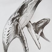 Meu projeto do curso: Desenho naturalista artístico a lápis. Pencil Drawing, Drawing, Artistic Drawing, and Naturalistic Illustration project by JOAO CARLOS BLANES - 10.24.2022