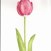 Mi proyecto del curso: Dibujo botánico realista en acuarela. Un proyecto de Diseño, Ilustración tradicional, Bellas Artes, Pintura, Pintura a la acuarela e Ilustración botánica de Noelia Rojas - 24.10.2022