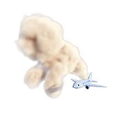 Spot Animations. Traditional illustration, Motion Graphics, 3D, and Animation project by Sarah Oh - 10.25.2022