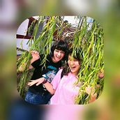 Meu projeto do curso: Fotografia e vídeo profissional com o seu celular . % lmayumi057 tarafından hazırlanan Mobil Fotoğrafçılık, Instagram, Instagram Fotoğrafçılığı, Ve Yaşam Tarzı Fotoğrafçılığı projesi - 10.25.2022