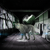 My project for course: Secrets of Photomontage and Creative Retouching. Photomontage project by Saquib Siddiqui - 10.25.2022