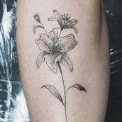 Mi proyecto del curso: Tatuaje fine line de Lirios. Traditional illustration, Drawing, and Tattoo Design project by Constanza Montt - 10.25.2022