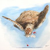 La tortuga del Cerezo. Naturalistic Illustration, Artistic Drawing, and Drawing project by Ernesto Alvarado Garcia - 10.24.2022