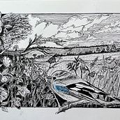 My project for course:  Dip Pen and Ink: Capturing The Natural World. "The Jay" Ein Projekt aus dem Bereich Skizzenentwurf, Zeichnung, Artistische Zeichnung, Sketchbook, Illustration mit Tinte und Naturalistische Illustration von gordon_phillips - 25.10.2022