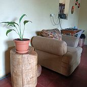 Mi proyecto del curso: Diseño de interiores con plantas desde cero. Interior Design, L, scape Architecture, Decoration, Interior Decoration, DIY, Floral, Plant Design, and Spatial Design project by Fernando Melgar - 10.26.2022