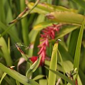 Uniqueness. Un proyecto de Fotografía y Paisajismo de Andrea Lopes - 28.10.2022