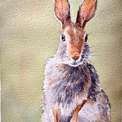 My project for course: Expressive Animal Portraits in Watercolor. Traditional illustration, Watercolor Painting, Realistic Drawing, and Naturalistic Illustration project by stevemnwac - 10.28.2022