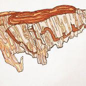 Mapping Nature. Traditional illustration project by sentientcabbage - 10.28.2022