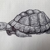 My project for course: Sketchbook Illustration with Pen: Embracing Mistakes. Sketching, Drawing, and Sketchbook project by Cindy Duflot - 11.26.2022