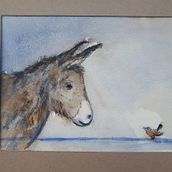 If a donkey kicks you, don't kick him back. (Socrates). Projekt z dziedziny Trad, c, jna ilustracja, Projektowanie graficzne i  Malarstwo użytkownika Manu Witters - 29.10.2022