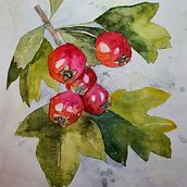 Mój projekt z kursu: Ilustracja elementów przyrodniczych w akwareli. Un proyecto de Ilustración tradicional, Pintura a la acuarela e Ilustración naturalista				 de katun1 - 31.10.2022
