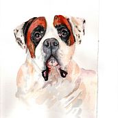 My project for course: Expressive Animal Portraits in Watercolor. Traditional illustration, Watercolor Painting, Realistic Drawing, and Naturalistic Illustration project by jolyaube - 10.31.2022