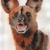 My project for course: Expressive Animal Portraits in Watercolor. Traditional illustration, Watercolor Painting, Realistic Drawing, and Naturalistic Illustration project by grilka - 11.01.2022