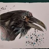Mi proyecto del curso: Retratos expresivos de animales en acuarela . % caranza1975 tarafından hazırlanan Geleneksel illüstrasyon, Suluboya Resim, Gerçekçi Çizim, Ve Doğalcı İllüstrasyon projesi - 11.02.2022