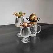 Propagation Station. Product Design, Packaging, and Traditional illustration project by Sally Augustijn - 11.03.2022
