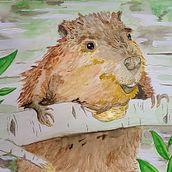 Beaver Pioneers, A Story Inspired by the works of Enos Mills. Un projet de Illustration traditionnelle, Illustration jeunesse , et Aquarelle de emilyweakland323 - 05.11.2022