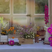 Mi proyecto del curso: Diseño y creación de composiciones florales Ein Projekt aus dem Bereich Innendesign, L, schaftsbau, Dekoration von Innenräumen, DIY und Blumen- und Pflanzendesign von acarmenochoa - 05.11.2022