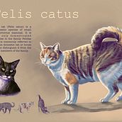 Mój projekt z kursu: Naturalistyczne ilustracje zwierząt w programie Procreate. Un progetto di Illustrazione tradizionale, Illustrazione digitale, Disegno realistico e Illustrazione naturalistica di Maria Właszyn - 05.11.2022