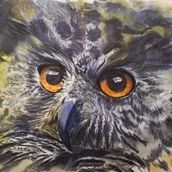 Alcuni dei miei Acquarelli. Pintura em aquarela projeto de Maresa Pagura - 06.11.2022