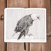Inktober 2022. Un progetto di Illustrazione tradizionale, Bozzetti, Disegno, Sketchbook e Illustrazione con inchiostro di Chloé Levasseur - 23.10.2022
