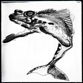 Ranallena Rana + Ballena (Animalario 1). Un projet de Illustration traditionnelle, Dessin au cra, on, Dessin, Esquisse , Illustration naturaliste, Design  , et Carnet de croquis de Alberto Serrano Casaus - 07.11.2022