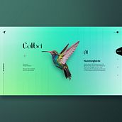 Colibri — Web Design. Web Design, UX / UI & Interactive Design project by Marko Shiba - 11.05.2022