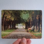 My project for course: Introduction to Photo Embroidery: Create Images with Texture . Photograph, Paper Craft, Embroider, DIY, and Textile Design project by lesyapetrushenko - 11.07.2022