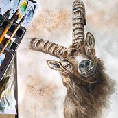 Mon projet du cours : Portraits expressifs d'animaux à l'aquarelle. Un projet de Illustration traditionnelle, Aquarelle, Dessin réaliste et Illustration naturaliste de catherine.bergiron - 07.11.2022