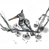 Mi proyecto del curso: Acuarela artística para ilustración de aves. Traditional illustration, Watercolor Painting, Realistic Drawing, and Naturalistic Illustration project by Alfonso J. Venegas - 11.08.2022