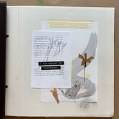 My project for course: Creative Artist's Diary: Define Your Visual Language. Projekt z dziedziny Trad, c, jna ilustracja,  Sztuki piękne, Kreat, wność,  R, sunek i Sketchbook użytkownika Clara Pizarro - 08.11.2022