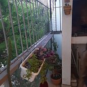 Mi proyecto del curso: Diseño de espacios verdes para tu casa. Un proyecto de Paisajismo, Diseño floral, vegetal y Diseño de espacios de Analia Sosa - 09.11.2022