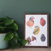 The fruitbirds project. Traditional illustration project by Claudia Kerssemakers - 11.09.2022